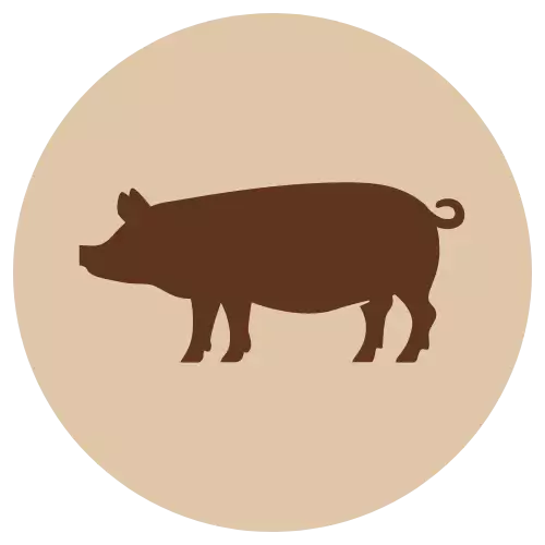 Possun munuaispala 600g pakaste Fanimal - Koiralle pakastelihat ja -elimet - 059613 - 1