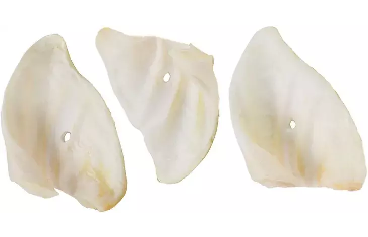 Possunkorva 45g KPL Snacks Nature - Koirien puruluut - 056243 - 1