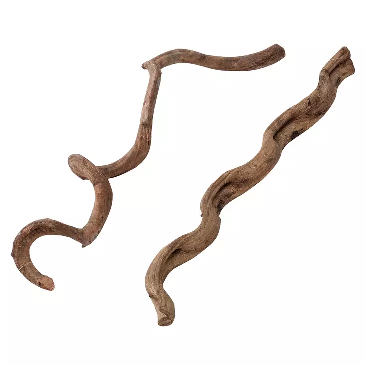 Puuköynnös Wood Vines M 75cm Terra Della - Terraarion tarvikkeet ja kuivikkeet - 059423 - 1