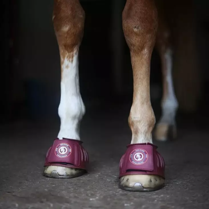 Tarraputsit kumia pari luumu Hansbo Sport - Putsit, skalpparit ja kaviosuojat - 026983 - 1