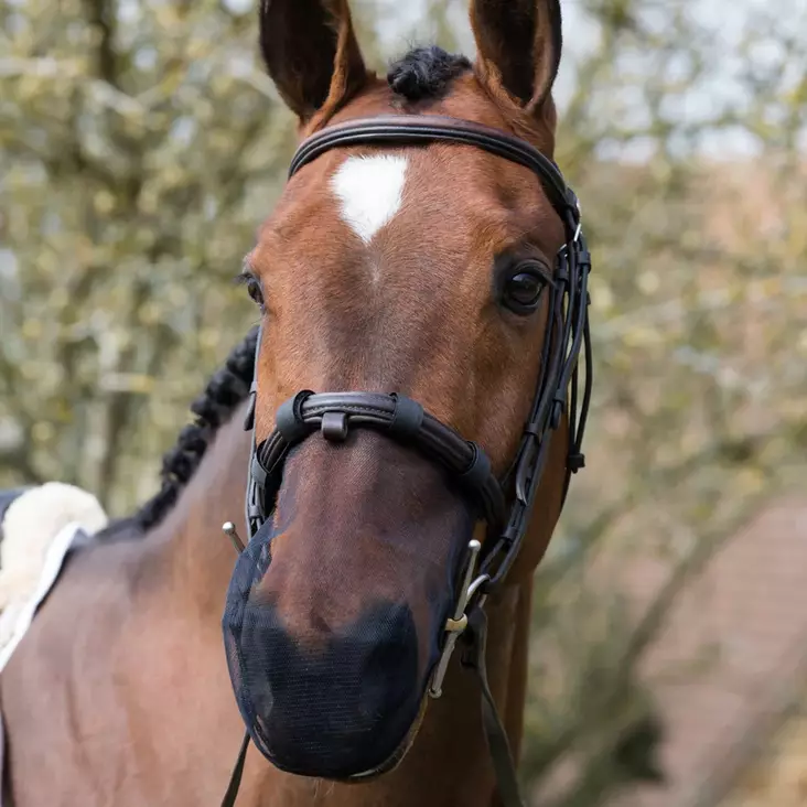 Turpaverkko Net Relief Muzzle net flash/anatomic XL musta Equilibrium - Ratsuhevosen suitset ja turpahihnat - 048453 - 1