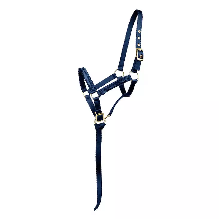 Varsariimu frilla tummansininen Hansbo Sport - Hevosen nylonriimut - 047593 - 1