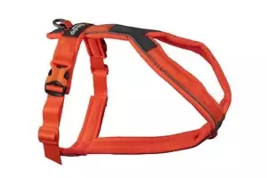 Y-valjas Line 5.0 oranssi Non-Stop dogwear - Koiran Y-valjaat - 029463 - 1