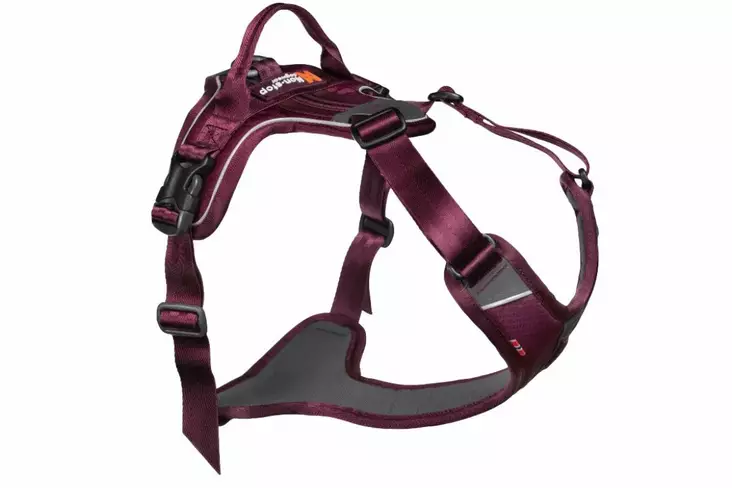 Y-valjas RAMBLE liila Non-Stop - Koiran Y-valjaat - 022923 - 1