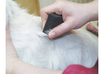 Trimmauskivi 9x6x2,5cm musta Show Tech - Koiran pohjavillan- ja takunpoistajat - 021934 - 2