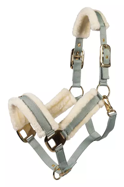 Nylonriimu Limone Elegant pehmustettu sage Lauria Garrelli - Hevosen nylonriimunarut - 056894 - 1