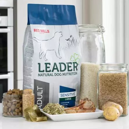 Adult Large Breed Lamb Sensitive Leader - Koiran kuivaruoat aikuisille koirille - 033684 - 2