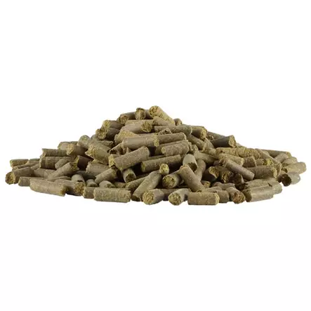 Broncophyt 500g Equi-Top - Lisäravinteet hevosen hengitysteille - 003294 - 2