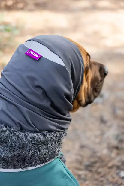 HuppuPomppa Graphite - Koiran tossut, sukat ja korvasuojat - 054774 - 2