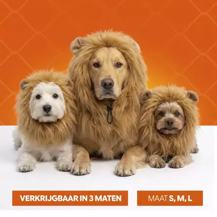 Leijonanharjakaulus koiralle Hofman Animal Care - Koiran tossut, sukat ja korvasuojat - 058014 - 2