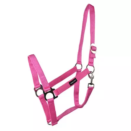 Nylonriimu Core roosa Hansbo Sport - Hevosen nylonriimut - 056614 - 1
