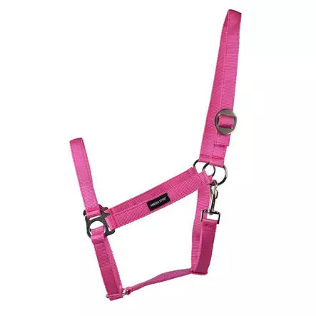 Nylonriimu Core roosa Hansbo Sport - Hevosen nylonriimut - 056614 - 2