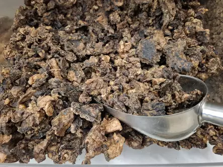 Poron keuhkorouhe KILOHINTA Polar Pet - Koiran herkut ja makupalat - 051224 - 1