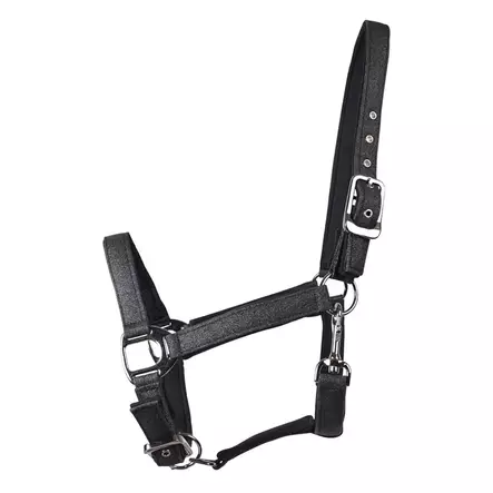 Riimu Tindra kimalteleva neopreenipehmusteilla musta Hansbo Sport HS - Hevosen nylonriimut - 056534 - 1