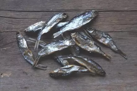 Särkikala kuivattu kotimainen KG Eväkäs - Koiran herkut ja makupalat - 035764 - 1