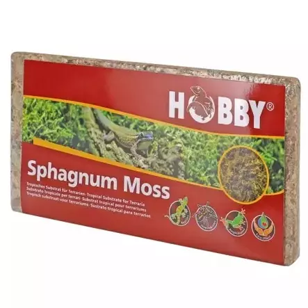 Rahkasammalpuriste Sphagnum 100g Hobby - Terraarion tarvikkeet ja kuivikkeet - 059174 - 1
