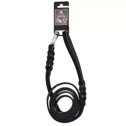 Nahkatalutin BGB lukolla 1x180cm Spotted - Koiran nahkataluttimet - 055824 - 2