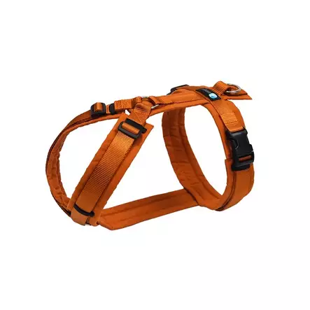 Y-valjas Fun maple AnnyX - Koiran Y-valjaat - 055724 - 1