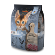 Kitten Grain Free Leonardo cat - Kissan kuivaruoat pennut ja kasvatus - 031124 - 1