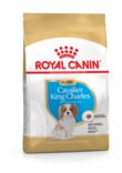 Cavalier King Charles Puppy 1,5kg Royal Canin - Kuivaruoat pennuille ja kasvatukseen - 000834 - 1