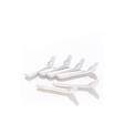 Hammasharja kissoille 1 KPL Virbac - Kissan hammashoito - 000744 - 1