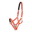 Heijastinriimu PONY oranssi Equitare - Hevosen nylonriimut - 027424 - 1