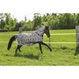 Hyönteisloimi Zebra 125cm Riding World - Hevosen hyönteis- ja UV-loimet - 025124 - 3