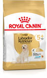 Labrador Retriever 5+ Adult 12kg Royal Canin - Koiran kuivaruoat ikääntyville koirille - 018674 - 1