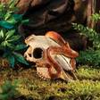 Piilo Buffalo Skull ExoTerra - Terraarion tarvikkeet ja kuivikkeet - 037664 - 3
