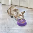 Nuolualusta Licks Spintz S 15x15x4cm liila KONG - Koiran aktivointilelut - 049204 - 6
