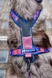 Y-valjas Line 5.0 Rachel Pohl edition purple-pink Non-Stop dogwear - Koiran Y-valjaat - 052924 - 6
