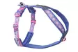 Y-valjas Line 5.0 Rachel Pohl edition purple-pink Non-Stop dogwear - Koiran Y-valjaat - 052924 - 1