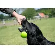 Heittokapula Meteor L 32cm Dog Comets - Koiran pallot ja heittolelut - 047684 - 4