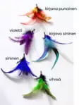Kissasyötti Feathery Yugie - Kissan huiskat ja onkilelut - 046384 - 5