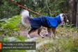 Koiran sadetakki Fjord sininen Non-Stop dogwear - Koiran manttelit - 046414 - 2