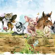 Kortti 13.7x13.7cm Animals Tree Stump - Lahjatavarat - 059144 - 1