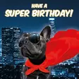 Kortti 13,7x13,7cm Have a Super Birthday! - Lahjatavarat - 059124 - 1