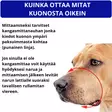 Kuonokoppa muovi musta-harmaa Cerberos - Kuonokopat - 059044 - 10