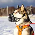 Kuonokoppa muovi musta-harmaa Cerberos - Kuonokopat - 059044 - 2