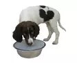Loiskumiseste Drool Stop kansi 14-24cm - Koiran muovi- ja melamiinikupit - 040444 - 2