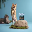 Namipala Northern Treats Reindeer & Turkey Bits puppies & training 150g PrimaDog - Koiran herkut ja makupalat - 057274 - 3
