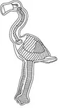 Pehmoflamingo Nelo sisällä köysi 58,5cm pinkki Flamingo - Koiran pehmolelut - 057394 - 4