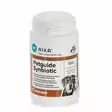 Petguide Synbiotic maitohappobakteerijauhe Aika Biofarm - Koiran lisäravinteet ja rehulisät - 020454 - 2