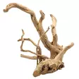 Puhdistettu juurakko Driftwood Polished Aqua Della - Akvaarion tarvikkeet ja hiekat - 059424 - 3
