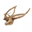 Puhdistettu juurakko Driftwood Polished Aqua Della - Akvaarion tarvikkeet ja hiekat - 059424 - 5
