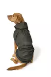 Sadetakki Rainshield oliivi Hunter x Eskadron - Koiran manttelit - 055974 - 4