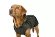 Sadetakki Rainshield oliivi Hunter x Eskadron - Koiran manttelit - 055974 - 3
