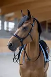 Suitset kuolaimettomat musta HorseGuard - Ratsuhevosen suitset ja turpahihnat - 057254 - 3