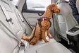 Turvavyöliitin Safety Belt V2 max 60cm L musta curli - Koiran turvavaljaat ja liittimet - 054964 - 2