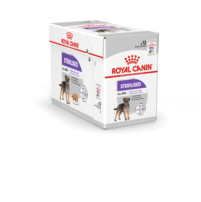 Adult Sterilised loaf 12x85g mureke Royal Canin - Koiran säilykkeet aikuisille koirille - 013734 - 2